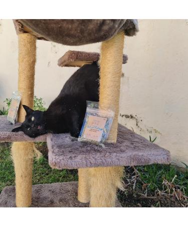 Skitcat Catnip 30g - Extra Strong, Sustainably Farmed, Chemical and Pesticide Free | Cat Treats for Happy Cats - Buy Online on SooperMarket.com