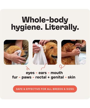 ZOOP Extra-Large Pet Wipes/Towels - Eliminates Whole-Body Odor | Grooming Bath Towels for Dogs & Cats | Fragrance-Free | 10 Count - Buy Online on SooperMarket.com