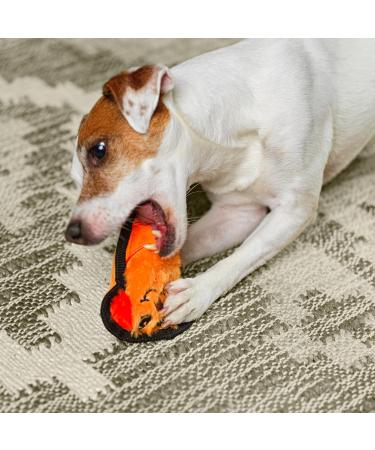 Outward Hound Invincibles Mini Dog Plush Dog Toy XS XS Dog - Buy Online on SooperMarket.com