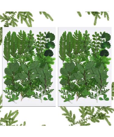 42 Pieces Dried Pressed Leaves Dried Flowers for Resin Real Assorted Dried Greenery for Pressed Leaf Art Craft DIY Embellishment Decorations  7 Styles