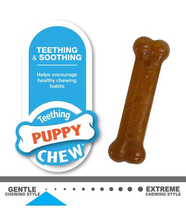 Nylabone Teething Puppy Chew Toys | Puppy-Friendly Materials | Promotes Positive Chewing Habits | X-Small/Petite (2 Count) - Buy Online on SooperMarket.com