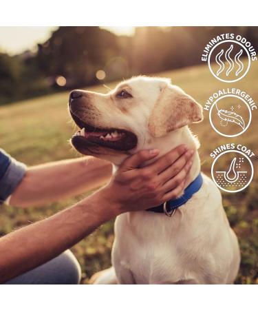 Floofs Wet Wipes for Dogs & Cats | 100 Perfume-Free Antibacterial Hypoallergenic Cleaning Towels | 15x20cm | Ideal Dog Wipes for Sensitive Skin - Buy Online on SooperMarket.com