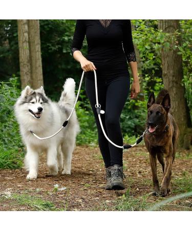 Buy Lionto Adjustable Dog Leash - Multifunctional Double Leash Weatherproof & Robust 200 cm - Beige Medium - Perfect for All Dogs - Buy Online on SooperMarket.com