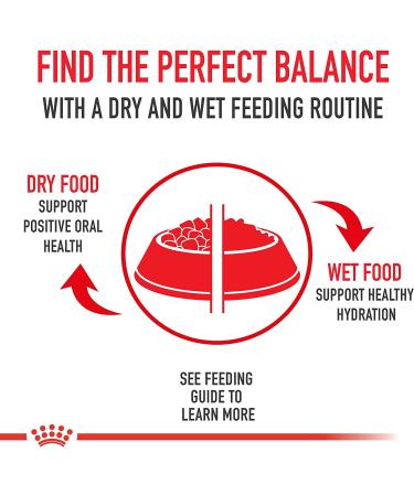 Royal Canin Yorkshire Terrier Adult Dry Dog Food 10lb - Breed Health Nutrition | No Artificial Color - Buy Online on SooperMarket.com