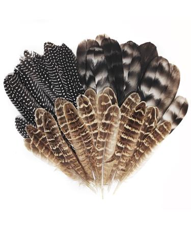 Natural Turkey Spotted Feathers  30Pcs Pheasant Feathers for Crafts DIY Hat Floral Arrangements Wing Quill Wedding Home Party Decorations 6-8 inch(3 Styles) A Type