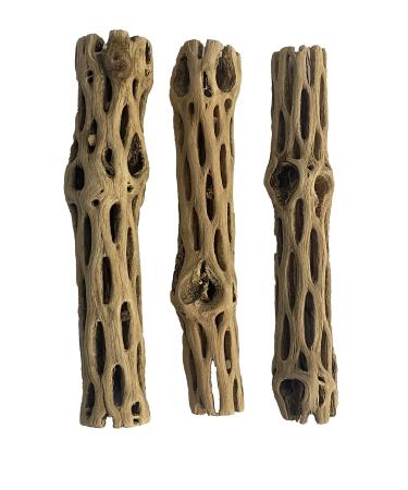 Awesome Aquatic Natural Cholla/Choya Wood 3 Pieces 6 for Shrimp Habitat and Food Treat Hermit Crabs Plecos Aquarium Decoration Lowers pH Hideouts and Chew Toys Reptiles Thorn Free Dried Organic 3 pc 6 inch