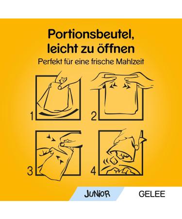 PEDIGREE Vital Protection Junior Pouches - Chicken & Rice in Jelly 24 x 100g | Premium Dog Food for Healthy Growth - Buy Online on SooperMarket.com