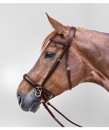 WALDHAUSEN Star Bridle Bitless WB brown