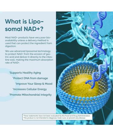 solodate Liposomal NAD+ 500mg Supplement with TMG | Cellular Energy & Anti-Aging | 120 Capsules - Buy Online on SooperMarket.com
