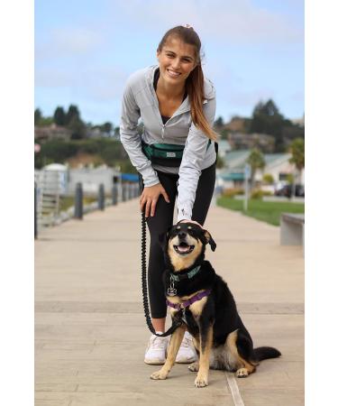 One Trail Hands Free Dog Lead | Durable Bungee Leash With No-Bounce Pack (Large Dog Black) Large Dog Black - Buy Online on SooperMarket.com
