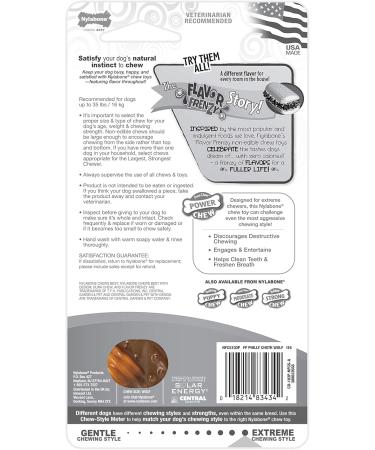 Nylabone Chew Toy for Extreme Chewers - Beef & Cheese Flavor Textured Bone | International Shipping Available - Buy Online on SooperMarket.com