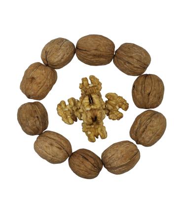 Smarty Stop Raw Walnuts in Shell (5 Pound (Pack of 1))