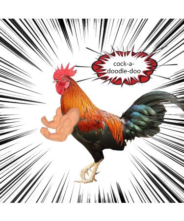 FUAMEY Muscle Chicken Arms Toys for Chickens to Wear  Funny Costume Fist Fighting Arms Toy for Pet Prank Themed Party  Artificial Arms Decorations Costume Cosplay for Chickens Rooster Hens Upgraded version - Buy Online on SooperMarket.com