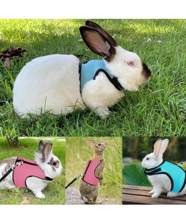 Adjustable Rabbit Dishes & Leash Set for Small Animals 2 Pieces in Blue & Pink | Perfect for Rabbits Hares Hamsters & Cats | Outdoor Use - Buy Online on SooperMarket.com