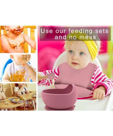 Hoseay Baby Weaning Set 5 in 1 | Silicone Suction Plate, Bowl, Spoon, Fork, Bibs | Pink Squirrel Design | Toddler Feeding Essentials - Buy Online on SooperMarket.com