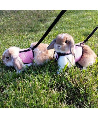 Adjustable Soft Rabbit Dishes & Mesh Harness - Outdoor Care for Small Pets (M Blue Pink) - Buy Online on SooperMarket.com
