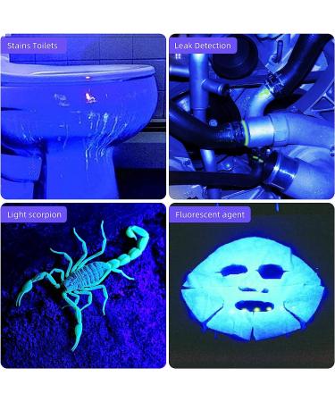 DARKBEAM UV Torch 365nm Black Light Wood's lamp USB Rechargeable Blacklight LED Ultraviolet Flashlight Mini Portable Detector for Pet Urine Fluorescent Resin Curing Leak Detection 2-Pack - Buy Online on SooperMarket.com