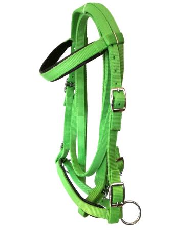 JF-Reitsport Bridle Set Nylon with Reins Bitless Cob green