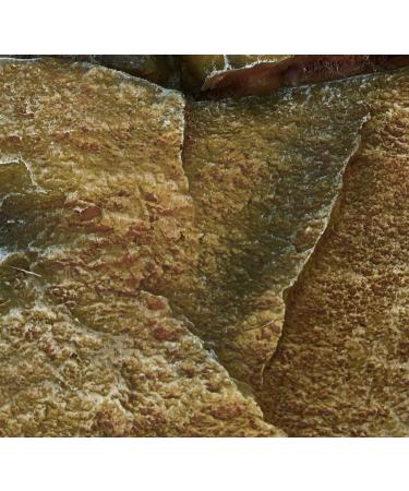 Trixie 8847 Rock Plateau with Tree Trunk - 25 cm | Natural Decor for Reptiles & Amphibians | International Shipping Available - Buy Online on SooperMarket.com