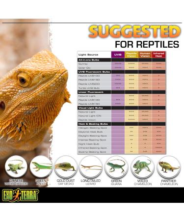 Exo Terra Intense Basking Spot Heat Lamp R20 25W E27 Socket - Pack of 2 | International Shipping Available - Buy Online on SooperMarket.com