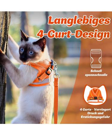 Supet Cat Dishes & Soft Vest Set for Cats & Small Dogs - Adjustable Leash Breakfast Collection Medium (33-38 cm) - Orange - Buy Online on SooperMarket.com