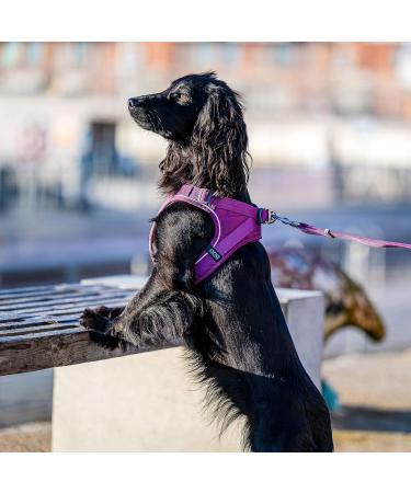 DOG Copenhagen Comfort Walk Go Dog Harness - Hunting Green XS | Best International Shipping Available - Buy Online on SooperMarket.com