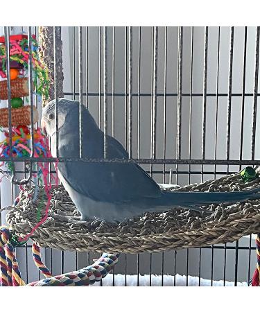 Red Parrot Swing Chewing Toy for Conures, Cockatiels, African Greys, Cockatoos, and Amazon Parrots - Buy Online on SooperMarket.com