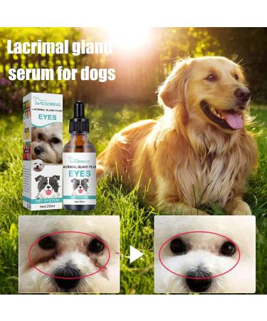 Eye Care Tear Stain Remover for Dogs & Cats - Effective Eye Drops for Inflammation - Better than Ointment - Buy Online on SooperMarket.com
