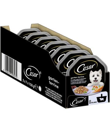 Cesar dog food wet food garden terrine with lamb carrots and coriander in jelly 14 bowls (14 x 150g) recommendation d.Chef's greeting of the 150 g season (14 Pack)