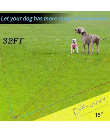 32ft Red Dog Tie Out Cable & Stake for Outdoor Play and Camping - Buy Online on SooperMarket.com