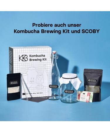 Organic Roy Raspberry Kombucha - 6 Pack (330 ml) | Handmade in Berlin | Vegan Gluten-Free Lactose-Free - Buy Online on SooperMarket.com