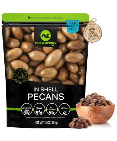 Raw Hard Shell Pecans, Superior to Organic (16oz - 1 LB) Bulk Nuts Packed Fresh in Resealable Bag - Healthy Protein Food Snack, All Natural, Keto Friendly, Vegan, Kosher 1 Pound (Pack of 1)