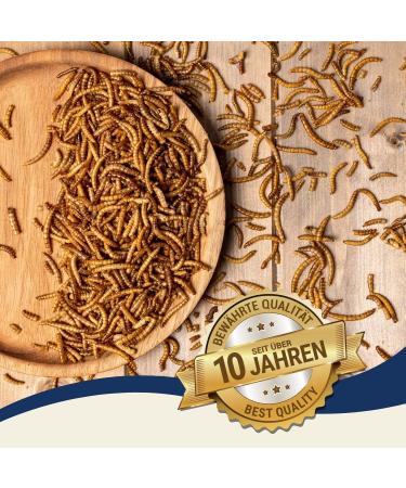 Lyra PET Mealworms 3 x 1 kg | Premium Fish Feed for Decorative & Pond Fish | Rich in Protein Vitamins & Minerals | Ideal Nutrient Source for KOI - Buy Online on SooperMarket.com