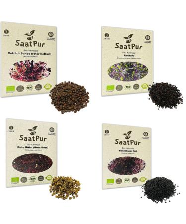 SaatPur ORGANIC Sprouts Assortment 4 ORGANIC Varieties Red Energy Mix - Radish Red Cabbage Basil Beetroot