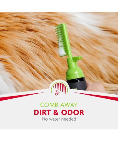 Furminator Waterless Foaming Shampoo & Deshedding Comb for Cats | Reduce Hair Loss & Odor - International Shipping - Buy Online on SooperMarket.com