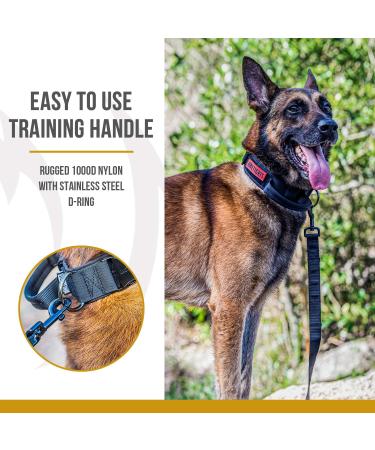 OneTigris Dog Collar with Metal Buckle for Dogs - Durable Black Collar (Medium) - International Shipping Available - Buy Online on SooperMarket.com