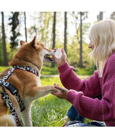 KALIONE 6 Packs Dog Scent Work Tins Scent Training Box for Dogs Small Dog Food Container Agility Training Equipment for Dogs Dog Scent Training Tools Kit Aluminum Containers for Dog Nose Training - Buy Online on SooperMarket.com