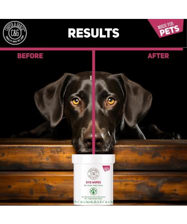 Dog Eye Wipes | Tear Stain Remover For Dogs Eyes | Remove Dog Eye Crust & Eye Discharge | Biodegradable Pre-soaked Textured | Safe & Easy Cleaning For Dogs & Cats | Pack Of 100 - Buy Online on SooperMarket.com
