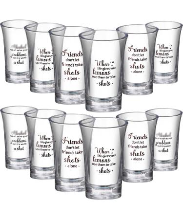 12 Packs Acrylic Clear Party Shot Glasses Random Set 1.2 Ounce Shot Glasses Funny Friends Shot Glasses Acrylic Shot Glasses for Adult Small Glass Shot Cups (Friend Style)