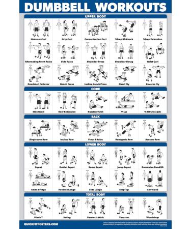 Palace Learning 3 Pack: Kettlebell Workouts Vol 1 & 2 + Dumbbell Exercises Poster Set - 3 Workout Charts LAMINATED 18 x 27 - Buy Online on SooperMarket.com