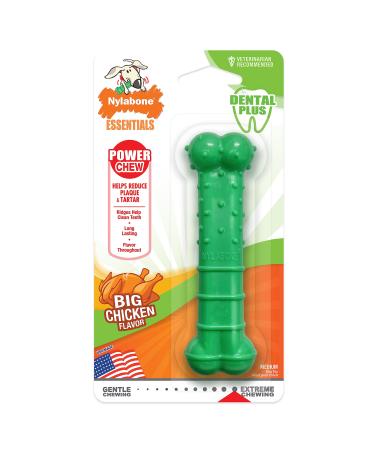 Nylabone Power Chew Textured Dental Chew Toy Chicken Medium - for dogs up to 16kg Green