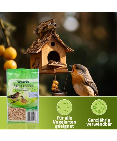 Eggersmann Volaris Bird Food 1kg - High Energy & Fat-Rich Streuk rner for All Birds | Perfect Wild Bird Seed Blend for Year-Round Feeding - Buy Online on SooperMarket.com