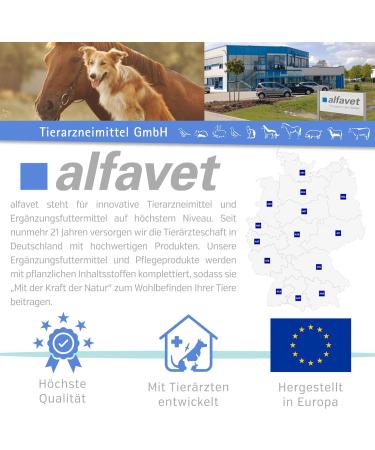 Alfavet Reconvales Tonicum for Dogs | Appetizing Supplementary Feed for Convalescence & Weight Gain | 6 x 90 ml Bottles - International Shipping Available - Buy Online on SooperMarket.com