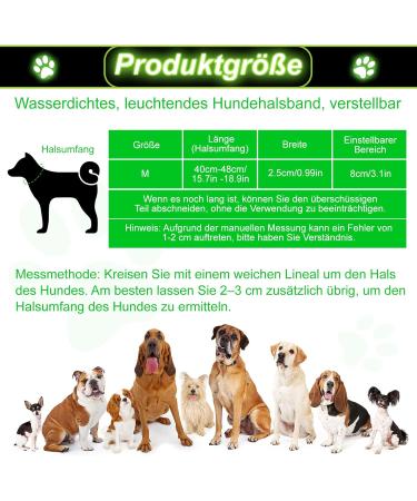 Jostift Luminous Elbe Rechargeable LED Dog Collar - Waterproof & Adjustable for Small/Medium Dogs - Super Bright with 3 Lighting Modes (Green) - Buy Online on SooperMarket.com