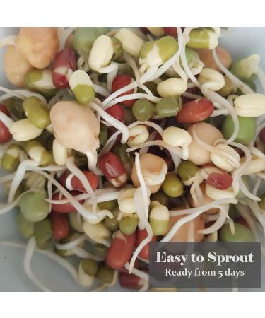 VERDANT REPUBLIC Organic Protein Power Sprouting Seeds Mix 500g | Non GMO Superfood Microgreens | Easy to Sprout with Peas Chick Pea Mung & Adzuki Beans - Buy Online on SooperMarket.com