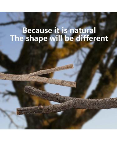 5PCS Natural Wood Bird Perches for Parrot - Wooden Stand Branches for Small Birds - Cage Accessories for Parakeet, Budgies, Cockatiels, Conure, Lovebirds - Buy Online on SooperMarket.com
