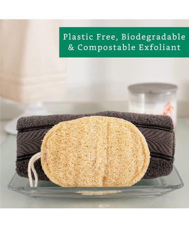 4 Pack 100% Natural Loofah Exfoliating Sponges - Organic Bath Scrubber Set - Buy Online on SooperMarket.com