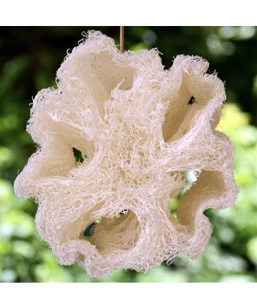 NileCart Natural Organic Egyptian Loofah Sponges - Large Exfoliating Shower Body Scrubber for Radiant Skin - 22 Inch - Pack of 1 - Buy Online on SooperMarket.com