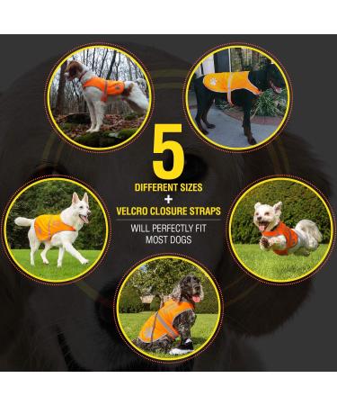 4Legriend Dogs Security Vest - High Visibility Blaze Orange (Large) for Outdoor Safety | 5 Sizes Available - Protect Your Dog Day and Night - Buy Online on SooperMarket.com