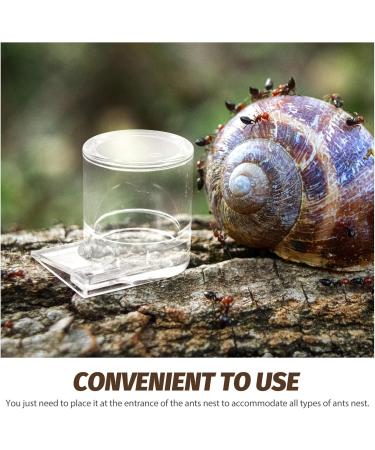 SEWOART Pet Water Feeder Ant Feeder Ant Watering Station Ant Water Feeder Ant Waterer Plastic Transparent - Buy Online on SooperMarket.com